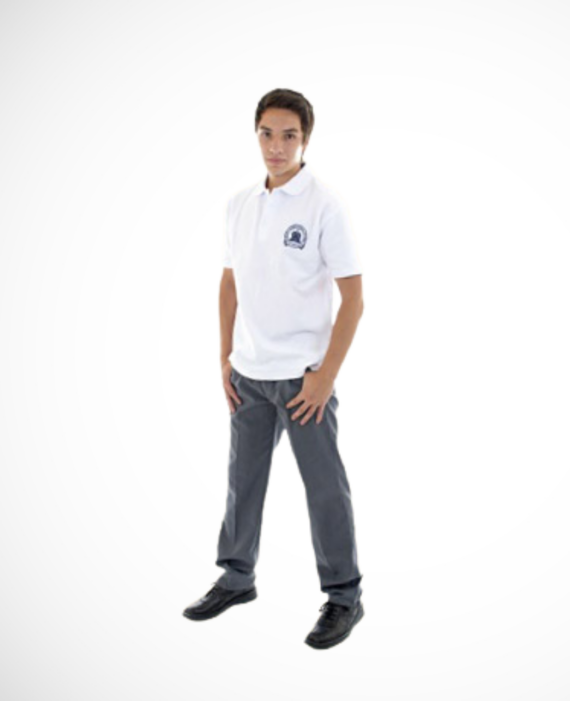 POLERA PIQUE M/C LINCOLN