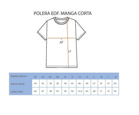 POLERA ED.FIS M/C NUEVA - ALCAZAR
